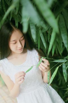 丁香花在线电影电视剧